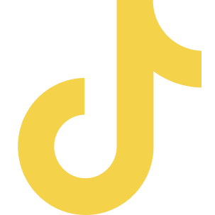 Tiktok icon